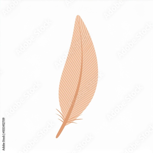 illustration of feather isolated on white