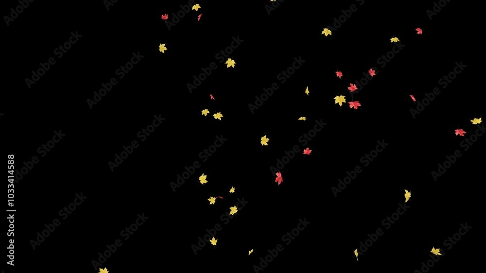 Maple Leaves Falling on Alpha Channel. 3D rendering. Maple leaves falling with alpha channel you can place on footage or background and easier to change colour. Maple Leaves Falling on Alpha Channel. 3D rendering. Maple leaves falling with alpha channel you can place on footage or background and easier to change colour.