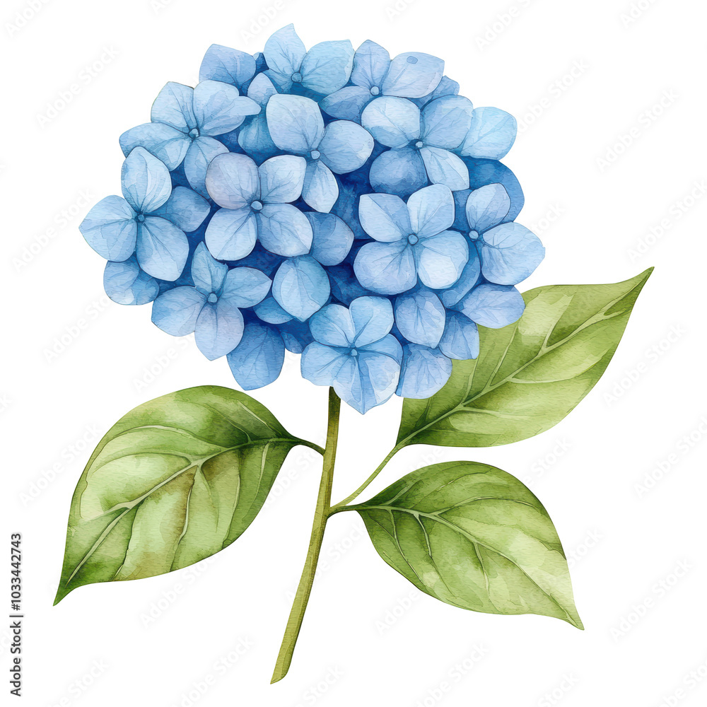 A blue flower with green leaves A blue flower with green leaves