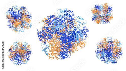 RuBisCO enzyme structure, illustration photo