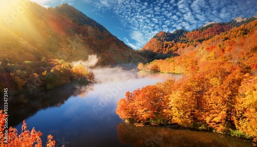 青空の下紅葉したカエデの林