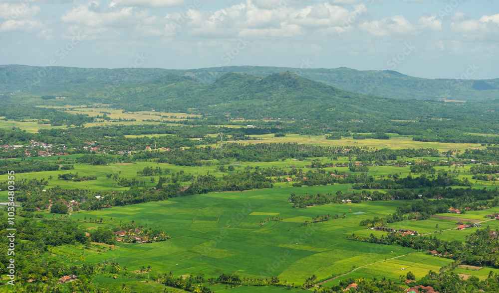 Obraz premium View from above, expanse of rice fields and rural atmosphere in the Ciletuh Geopark area, Sukabumi, West Java, Indonesia. The Ciletuh area has been designated as a UNESCO Global Geopark.