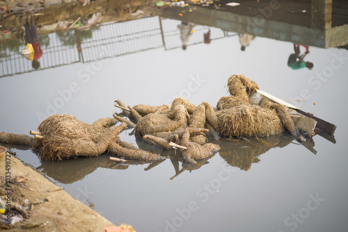 Decomposing Durga Idol in Water After Visarjan, Immersed Durga Idol Remnants in Water Body, Post-Visarjan Durga Idol Disintegration in Pond, Submerged Durga Idol After Immersion Ritual Stock Photo.  photo