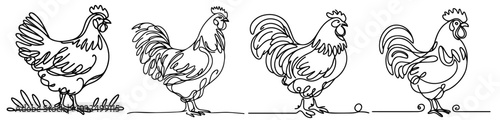 monoline rooster line art illustration in black vector