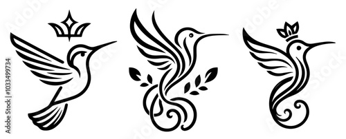 set of hummingbird bird sketches in monoline art style black vector