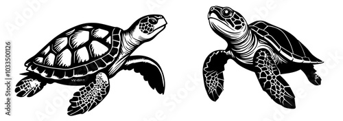 set of line art turtles with simple shapes black vector