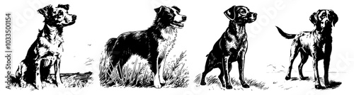 realistic dog vector collection with detailed features black
