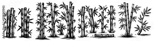 detailed bamboo illustrations in black vector for nature-inspired concepts