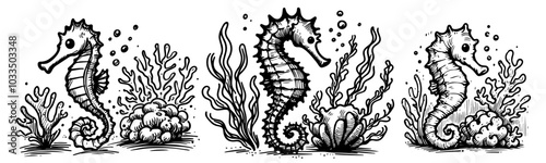 marine life set featuring seahorse and coral reef in hand-drawn black vector