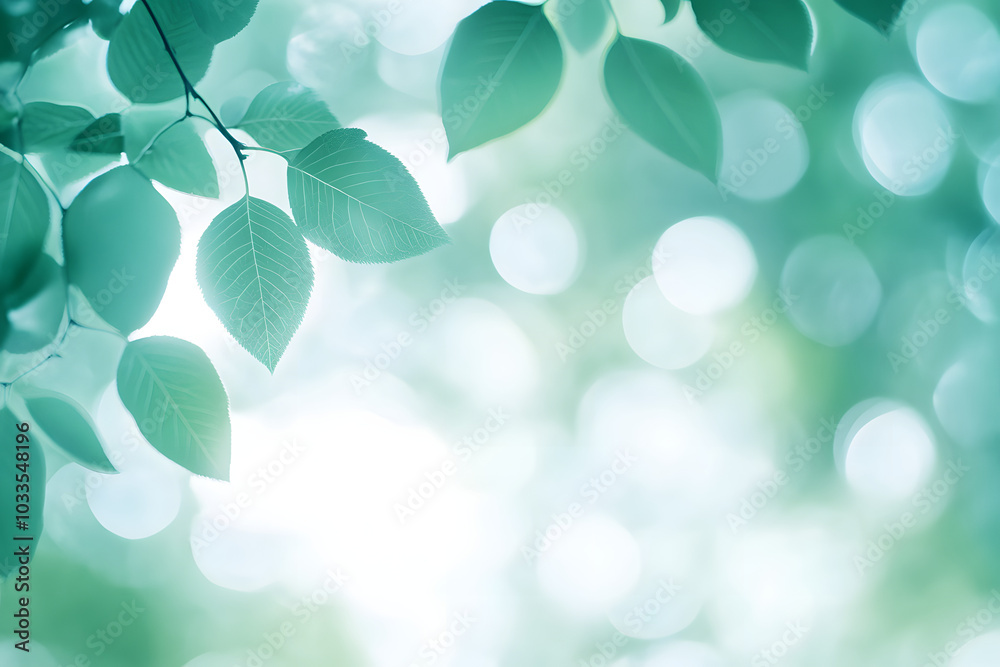 Abstract blur focus mint green Bokeh leaf spring nature light eco Blue foliage background concept cool summer texture, bio spring calm day, organic health in turquoise wallpaper, blurred park leaf. Abstract blur focus mint green Bokeh leaf spring nature light eco Blue foliage background concept cool summer texture, bio spring calm day, organic health in turquoise wallpaper, blurred park leaf.