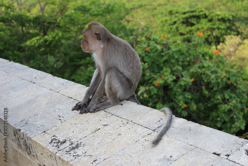 Bali Adventure photo