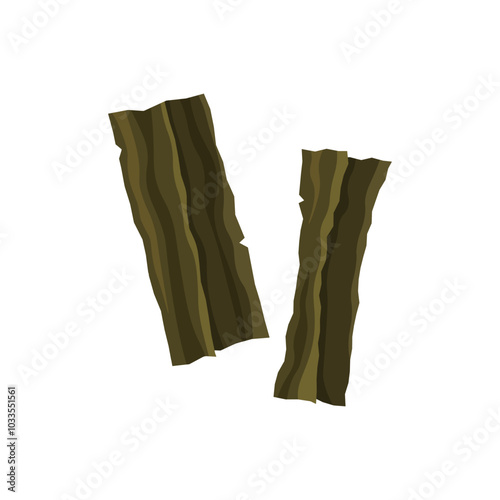 Vector of kombu, Japanese edible kelp 