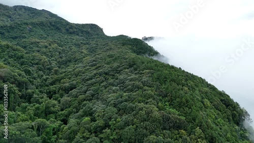 Top view of  village in the lush green rain cloud and foggy cover tropical rain forest mountain during the rainy season. Aerial view of mountain peak with green trees in fog. Beautiful landscape with  photo