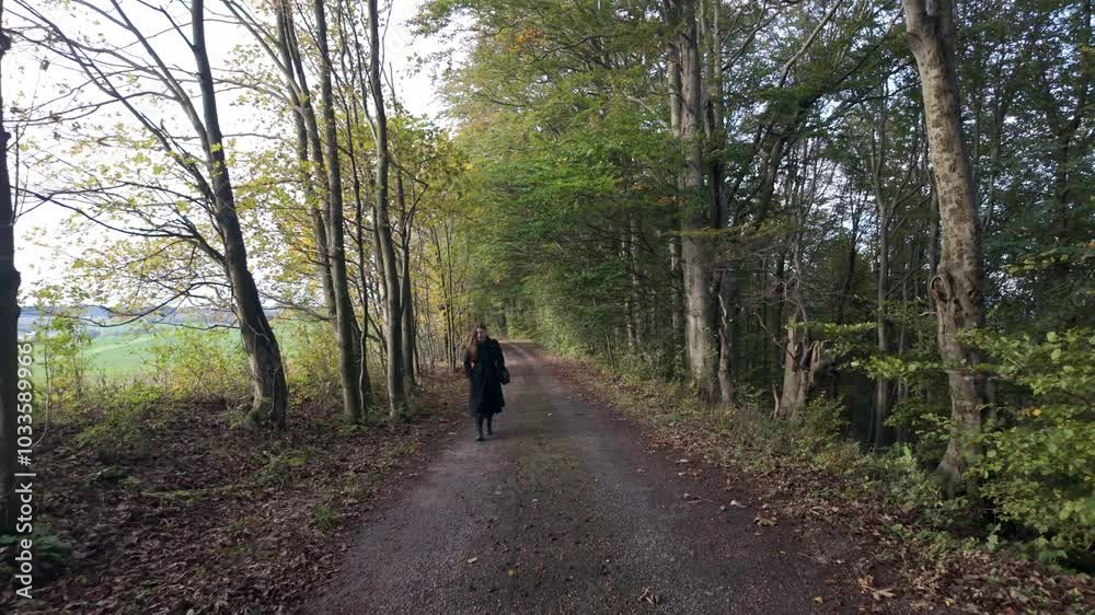 Lonesome woman walks the lane, Beneath the clouds, single track untamed Lonesome woman walks the lane, Beneath the clouds, single track untamed