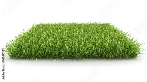 Green lawn on white background. 3D illustration. 