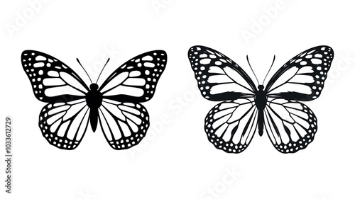 Butterfly silhouette of a butterfly isolated vector eps illustration