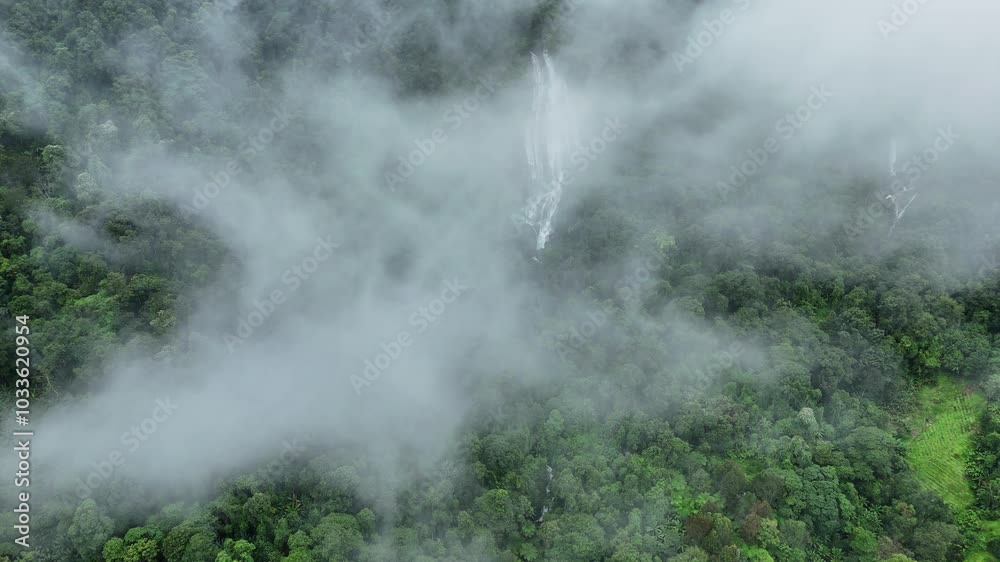 Top view of village in the lush green rain cloud and foggy cover tropical rain forest mountain during the rainy season. Aerial view of mountain peak with green trees in fog. Beautiful landscape with Top view of village in the lush green rain cloud and foggy cover tropical rain forest mountain during the rainy season. Aerial view of mountain peak with green trees in fog. Beautiful landscape with