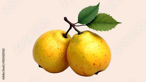 Two quinces on a light-colored plain background.