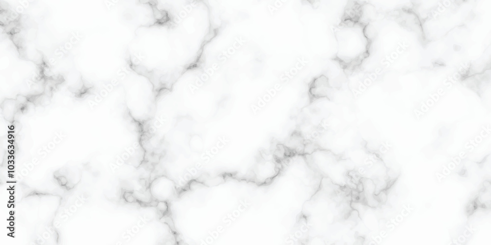 marble granite white panorama background. abstract light elegant black do floor, ceramic texture stone slab. marble vector texture background with high resolution. marble granite white panorama background. abstract light elegant black do floor, ceramic texture stone slab. marble vector texture background with high resolution.