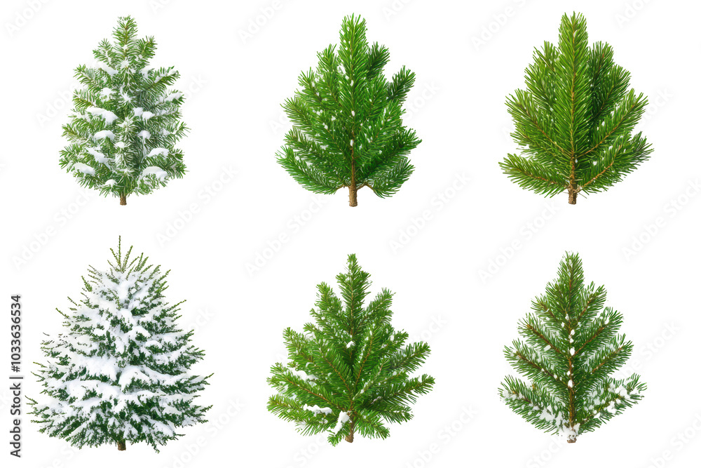 Fototapeta premium Watercolor illustration of different green Christmas trees, isolated on white, perfect for holiday design. 