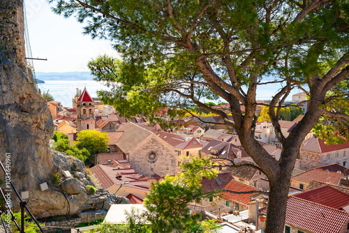 Postcard view of the beautiful small town Omis on the Adriatic coastline through lush coniferous tree, Croatia  photo