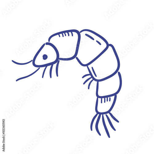 Hand drawn shrimp illustration. Doodle drawing of sea food. Line art sketch of sea animal. Vector scribble