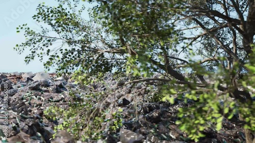 Camera flying out from under a tree growing in the middle of landfill site.
