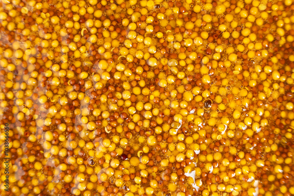 French Dijon mustard background, close-up, top view.