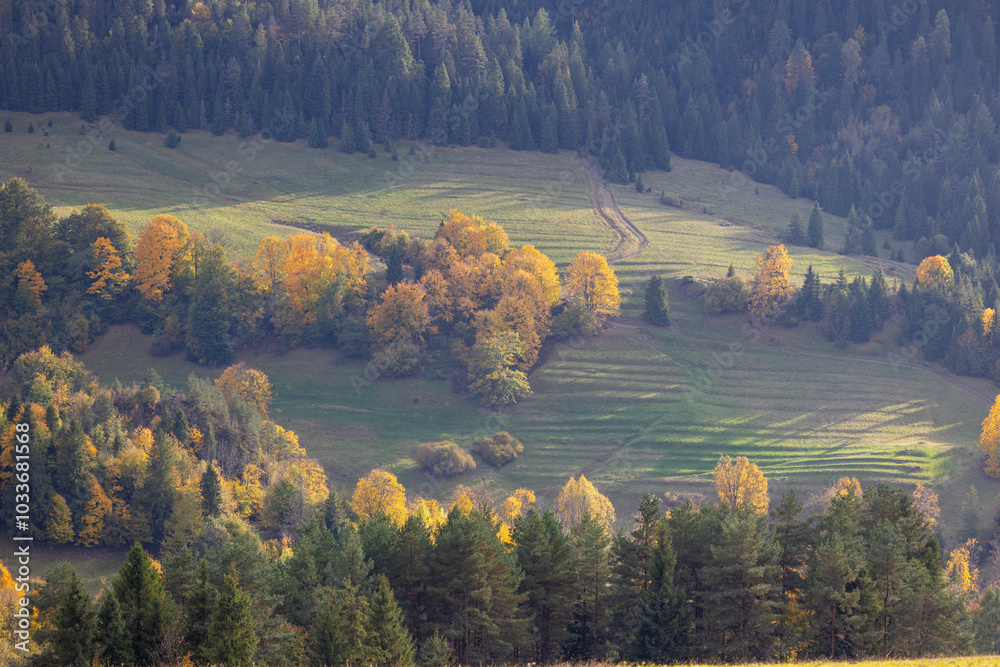 Picturesque view of the autumn landscape in the Pieniny Mountains, colorful leaves on the trees, Szczawnica, Poland