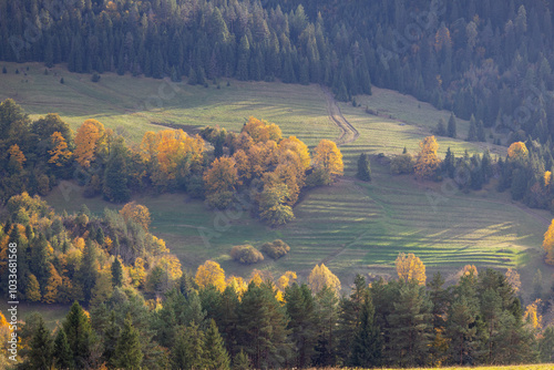Obraz na płótnie Picturesque view of the autumn landscape in the Pieniny Mountains, colorful leaves on the trees, Szczawnica, Poland w salonie