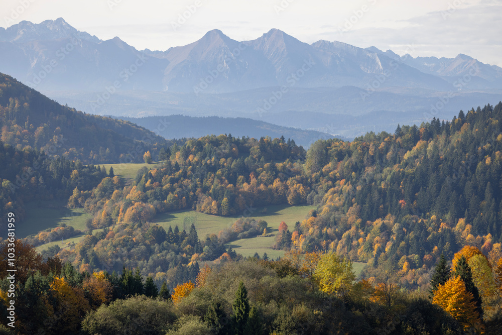 View of the autumn landscape in the Pieniny Mountains, colorful leaves on the trees, Szczawnica, Poland