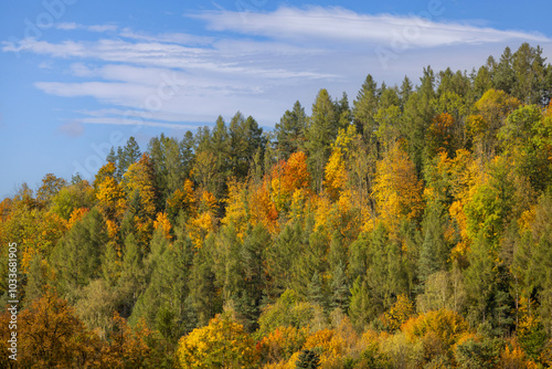 Obraz na płótnie Picturesque view of the autumn landscape in the Pieniny Mountains, colorful leaves on the trees, Szczawnica, Poland w salonie