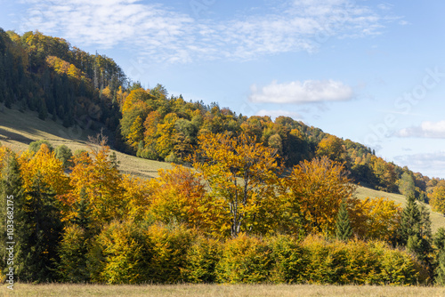 Obraz na płótnie Picturesque view of the autumn landscape in the Pieniny Mountains, colorful leaves on the trees, Szczawnica, Poland w salonie
