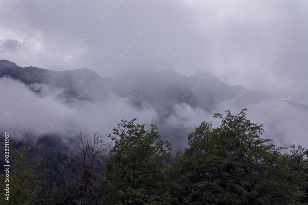 Misty mountains at dawn, shrouded in a soft veil, create a magical atmosphere of tranquility and mystery of nature Misty mountains at dawn, shrouded in a soft veil, create a magical atmosphere of tranquility and mystery of nature
