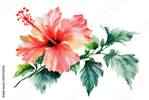 Beautiful watercolor illustration of a red hibiscus flower with lush green leaves, capturing nature's elegance and vibrant colors.