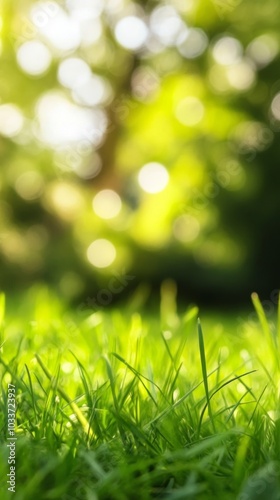 Closeup of green grass with blurred garden background