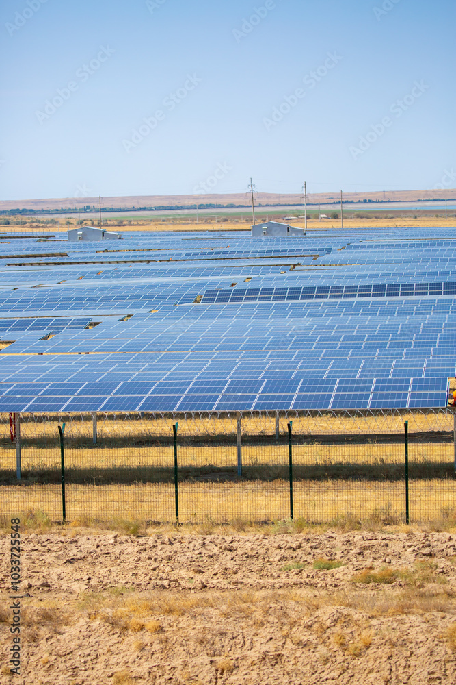 custom made wallpaper toronto digitalSolar panel fields in large quantities. Solar panels as alternative energy sources safe for the environment.