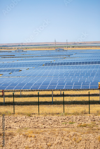 Wallpaper Mural Solar panel fields in large quantities. Solar panels as alternative energy sources safe for the environment. Torontodigital.ca