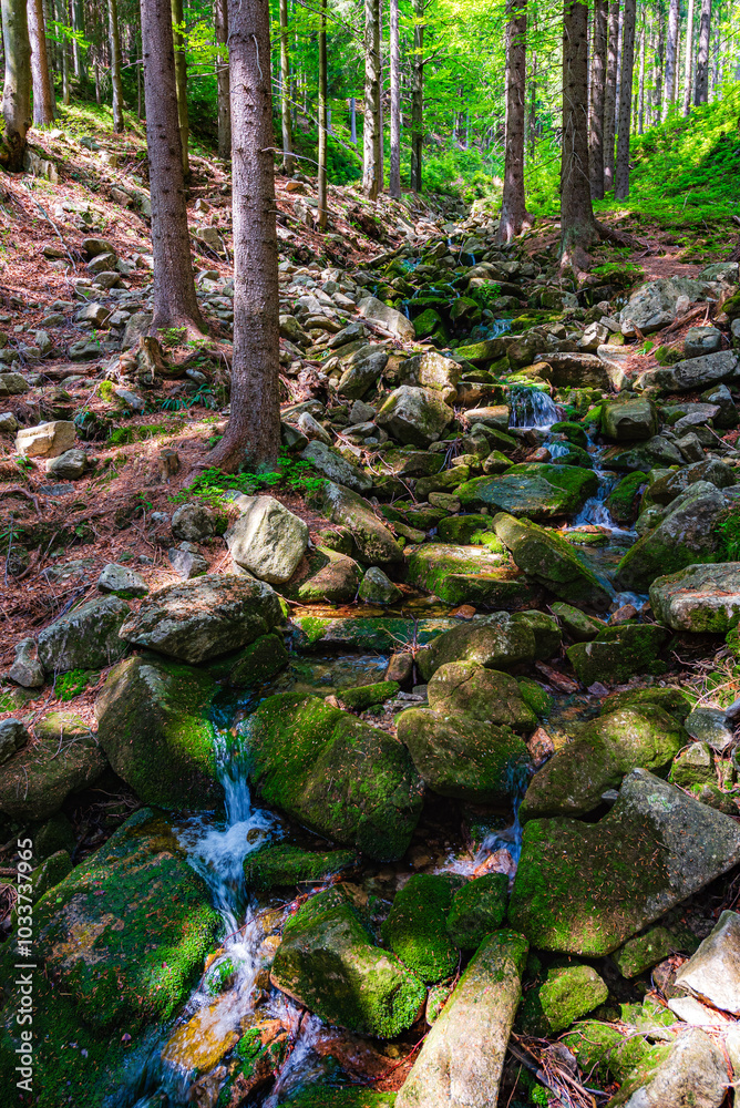 A little stream of water in the National Park Krkonose in Czech republic.