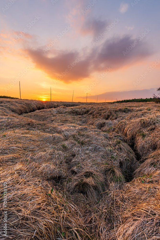 Source of the Elbe river in the Krkonose mountains in Czechia during sunset.