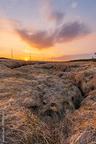 Source of the Elbe river in the Krkonose mountains in Czechia during sunset. photo