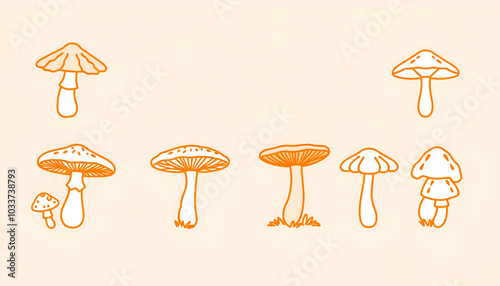 Forest mushroom line icon set. Chanterelle, champignon, shiitake, porcini, cep, milk agaric minimal vector illustration. Simple outline sign for edible fungus. Orange color, Editable Stroke photo