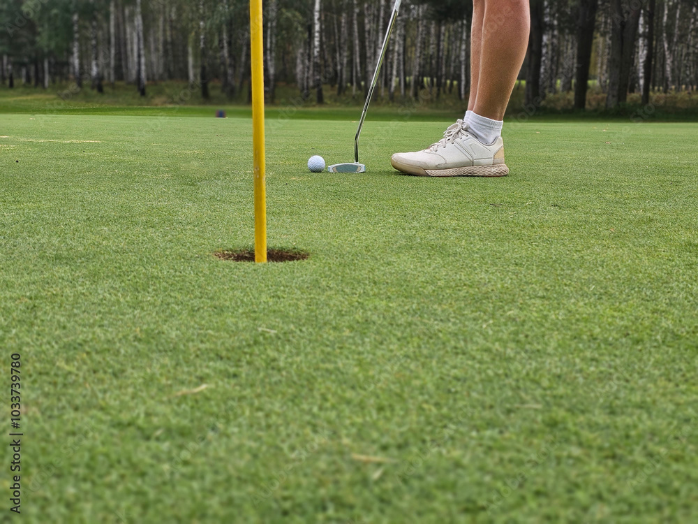 Obraz premium A golfer prepares to putt on a lush green course