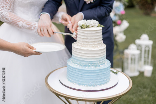 bride and groom cut the wedding cake together