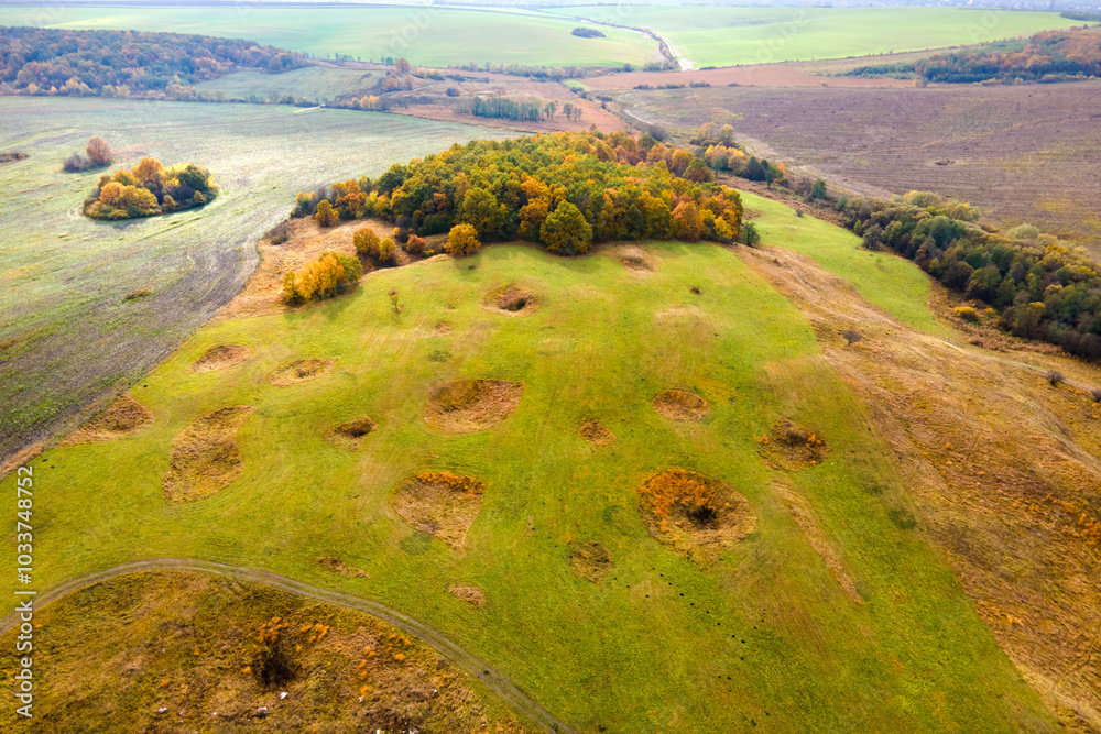 Fototapeta premium Aerial view of plowed agricultural fields with cultivated fertile soil prepared for planting crops between green woods in fall season