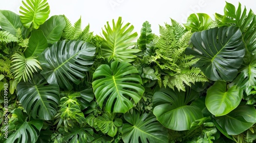 Lush Green Tropical Leaves and Foliage Background Texture