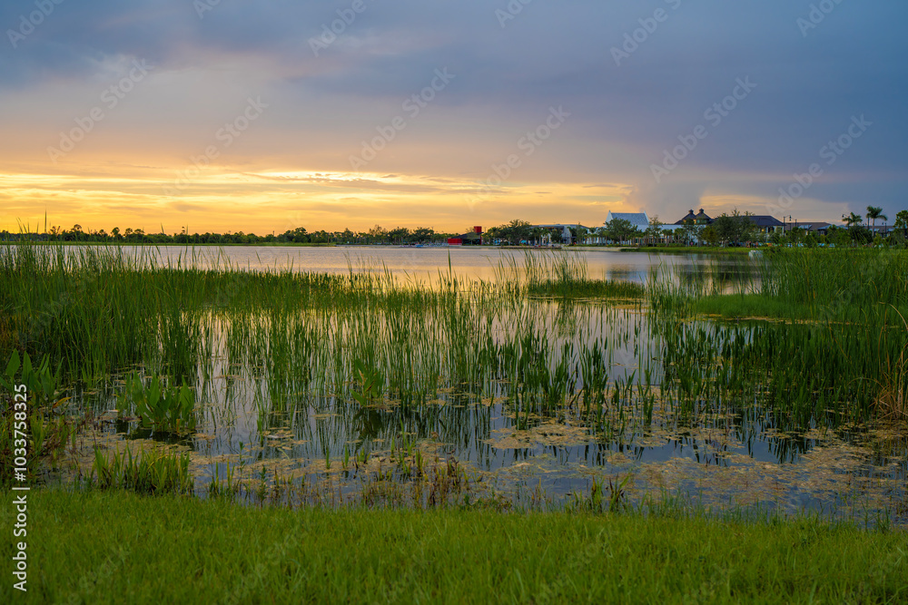 Beautiful nature landscape at sunset. Lake wildlife in Wellen park in Venice, Florida Beautiful nature landscape at sunset. Lake wildlife in Wellen park in Venice, Florida