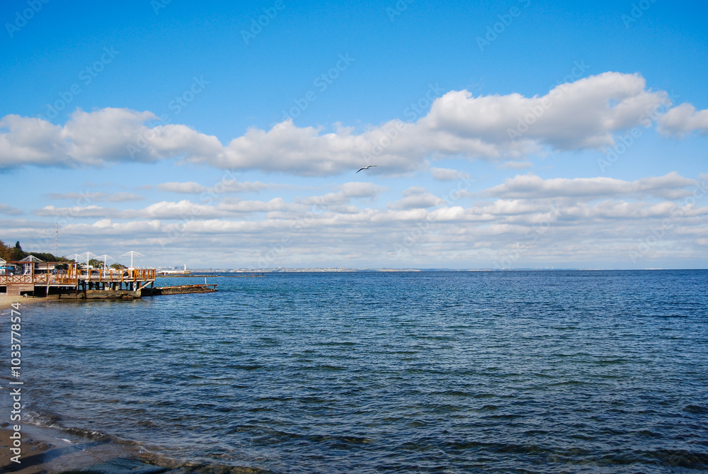 Odessa Bay of the Black Sea.
Otrada Beach, on the Black Sea coast. A rusting pier and a seagull in the sky. The coastline is visible in the distance - the settlement of Kotovsky is located there. Odessa Bay of the Black Sea.
Otrada Beach, on the Black Sea coast. A rusting pier and a seagull in the sky. The coastline is visible in the distance - the settlement of Kotovsky is located there.