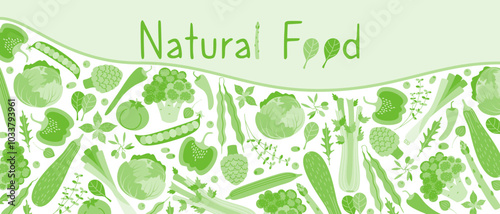 Banner of organic, fresh, natural, green vegetables and herbs. The concept of proper nutrition. Illustration for eco-shop, market design.