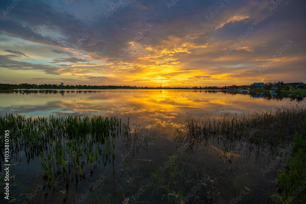 Tropical lake vegetation in southern swamp at sunset. Evening landscape of Florida wetland flora Tropical lake vegetation in southern swamp at sunset. Evening landscape of Florida wetland flora